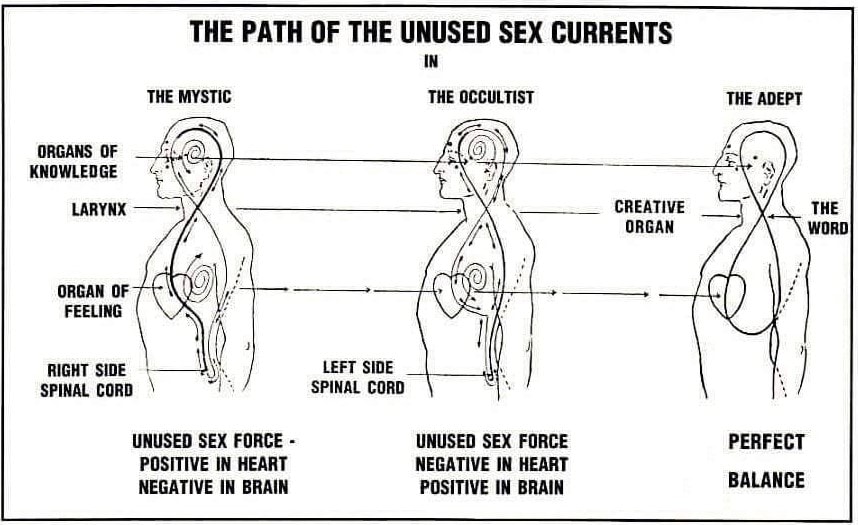 Heindel unused sex force Kerning Mailander diagram